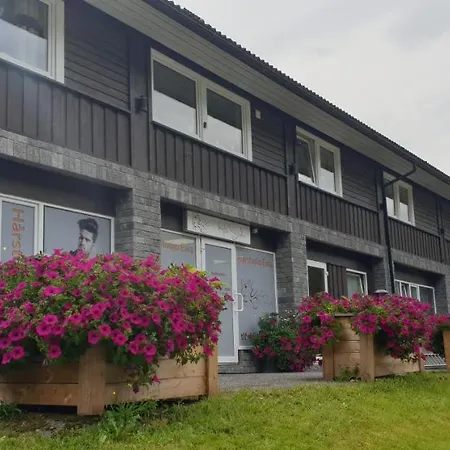 Apartment 5